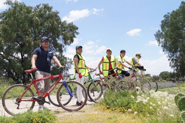 excursiones de grupo